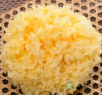 吃什么润肺 6款药膳食物保护你的肺 吃什么润肺 6款药膳食物保护你的肺