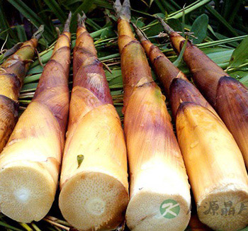 夏季饮食 吃这9种苦味菜帮助消化祛除体热 夏季饮食 吃这9种苦味菜帮助消化祛除体热