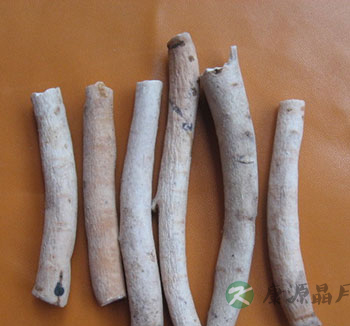 中药服用禁忌 白芍使用的几个注意事项