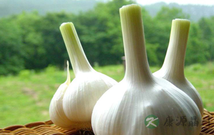 廉价食物也能让人健康长寿