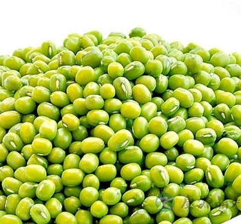 吃绿豆拉肚子是怎么回事 盘点吃绿豆的禁忌 吃绿豆拉肚子是怎么回事 盘点吃绿豆的禁忌