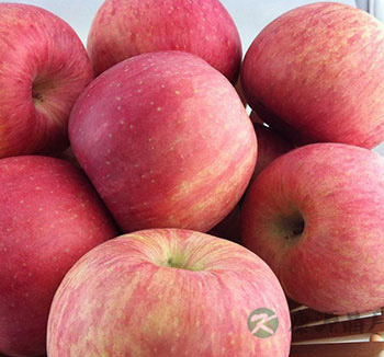 老年人养生常识 夏季老年人吃什么水果好