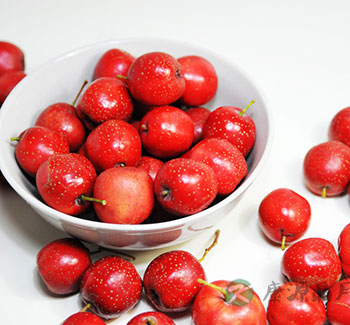 健康饮食常识 这五种食物多吃会减少寿命 健康饮食常识 这五种食物多吃会减少寿命