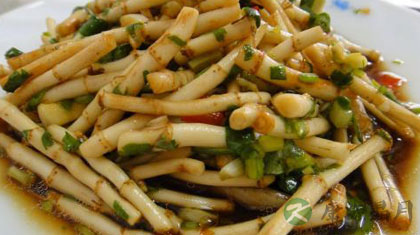 鱼腥草的功效与作用及食用方法