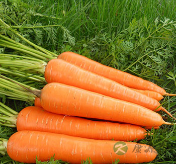 夏季养生主要防湿热 少吃生冷照顾脾胃 夏季养生主要防湿热 少吃生冷照顾脾胃