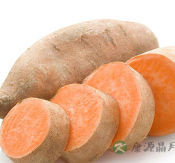 夏季养生主要防湿热 少吃生冷照顾脾胃 夏季养生主要防湿热 少吃生冷照顾脾胃