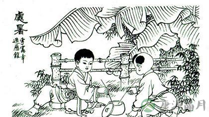 处暑易得什么病 处暑养生吃什么