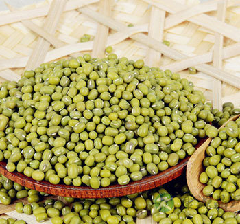 中药大全 哪些中药有祛暑、防中暑作用？