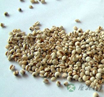 薏米的作用与功效及食用方法 薏米的营养价值