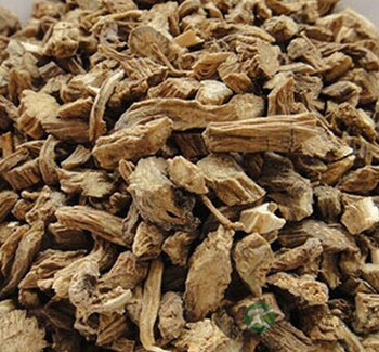 续断的功效与作用有哪些？怎么吃续断？