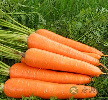 女性体寒吃什么 四类食物抵御寒冷改善体寒 女性体寒吃什么 四类食物抵御寒冷改善体寒