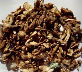 白头翁的功效与作用 白头翁的中药附方