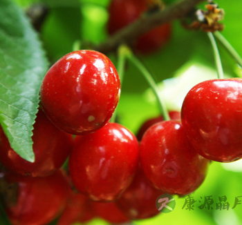 预防高血压吃什么好 哪些食物可以降血压