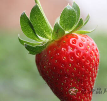 如何提高免疫力 春季养生三款食谱 如何提高免疫力 春季养生三款食谱