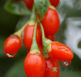 吃什么可以排毒养颜 4款谷物食谱排毒养颜