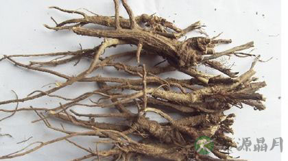 柴胡的功效与作用