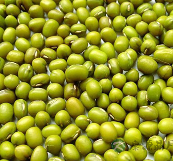 夏季养生饮食 推荐两款清热解暑养生汤 夏季养生饮食 推荐两款清热解暑养生汤