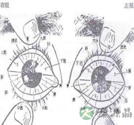 中医特色眼针疗法 眼针疗法又是如何取穴的