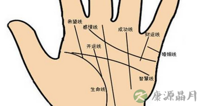 老中医教你从掌纹识健康