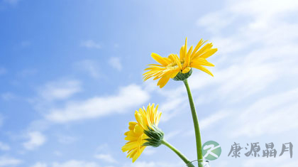 “泄”也是种养生 你知道吗