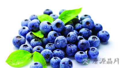 蓝莓个子小却有大功效 蓝莓个子小却有大功效
