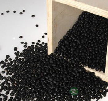 补钙吃什么食物好 补钙的食物有哪些 补钙吃什么食物好 补钙的食物有哪些