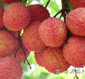 夏季饮食养生 吃荔枝真的可以降血糖吗？