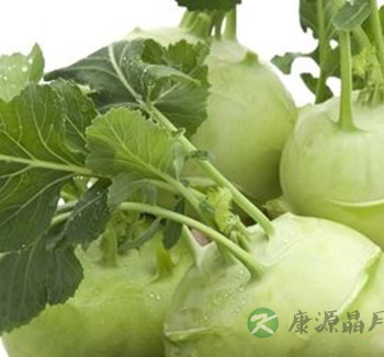 夏季饮食 吃这9种苦味菜帮助消化祛除体热 夏季饮食 吃这9种苦味菜帮助消化祛除体热