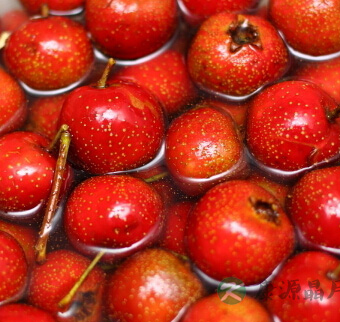 儿童减肥食谱 肥胖儿童吃什么减肥? 儿童减肥食谱 肥胖儿童吃什么减肥?