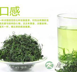 名贵中药材绞股蓝 绞股蓝的功效与药用价值
