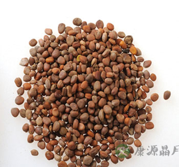 儿童小孩服用中药的需要注意的5个事项