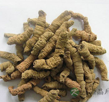 五味益气抗疲劳中药 让你精力充沛远离疲劳