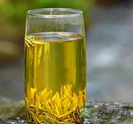 蒙顶黄牙茶如何泡才好喝 喝蒙顶黄牙的禁忌