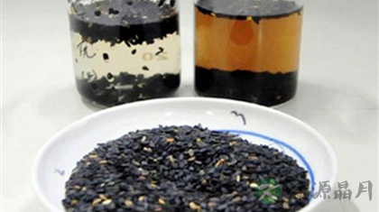 黑芝麻的营养价值与食疗功效