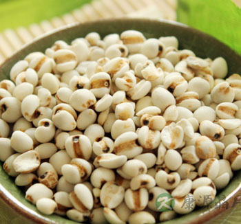 薏米的作用与功效及食用方法 薏米的营养价值