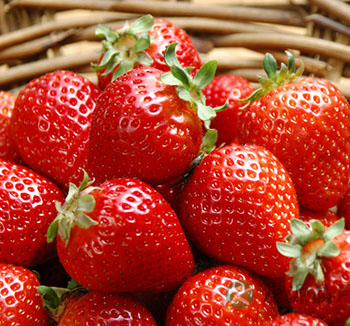 女性饮食养生常识 女性多吃草莓补充铁元素 女性饮食养生常识 女性多吃草莓补充铁元素
