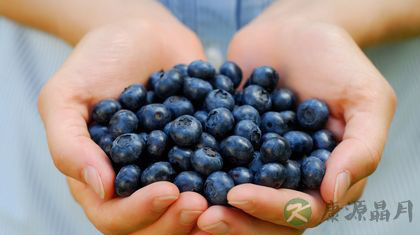 蓝莓个子小却有大功效 蓝莓个子小却有大功效