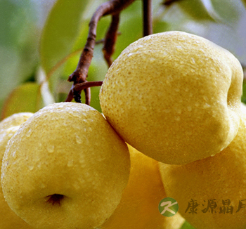 吃5种水果能预防疾病 葡萄能瘦身减肥 吃5种水果能预防疾病 葡萄能瘦身减肥