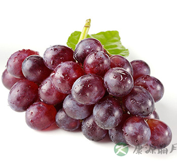 吃葡萄后不能立即喝水 夏季吃葡萄的五注意 吃葡萄后不能立即喝水 夏季吃葡萄的五注意