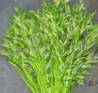 海带怎么做好吃 海带的3个健康美容食谱 海带怎么做好吃 海带的3个健康美容食谱