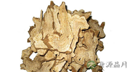 白术的功效与作用及食用方法