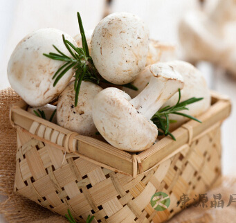 吃什么养胃 养胃的食物有哪些? 吃什么养胃 养胃的食物有哪些?