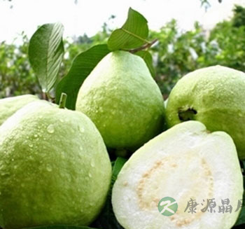 水果养生常识 番石榴营养丰富但容易上火