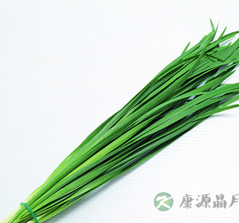 男女饮食健康 饮食男不离韭女不离藕 男女饮食健康 饮食男不离韭女不离藕