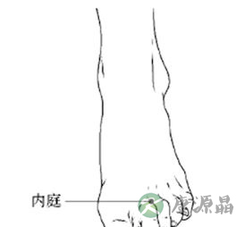 人体经脉 足阳明胃经部分穴位的治疗作用