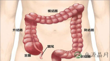 治疗便秘的各种有效方法