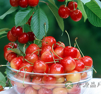 男性饮食健康 盘点男性离不开的8款健康食物 男性饮食健康 盘点男性离不开的8款健康食物