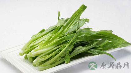 油麦菜的营养价值与功效 油麦菜的营养价值与功效