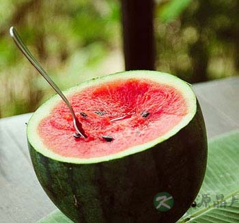 夏季吃西瓜最解暑 这7类人吃西瓜要谨慎 夏季吃西瓜最解暑 这7类人吃西瓜要谨慎