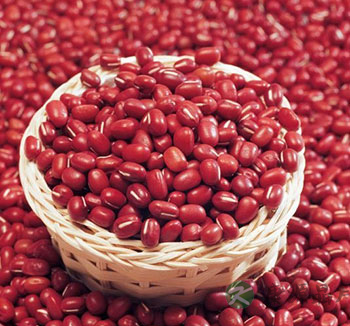 夏季养生主要防湿热 少吃生冷照顾脾胃 夏季养生主要防湿热 少吃生冷照顾脾胃